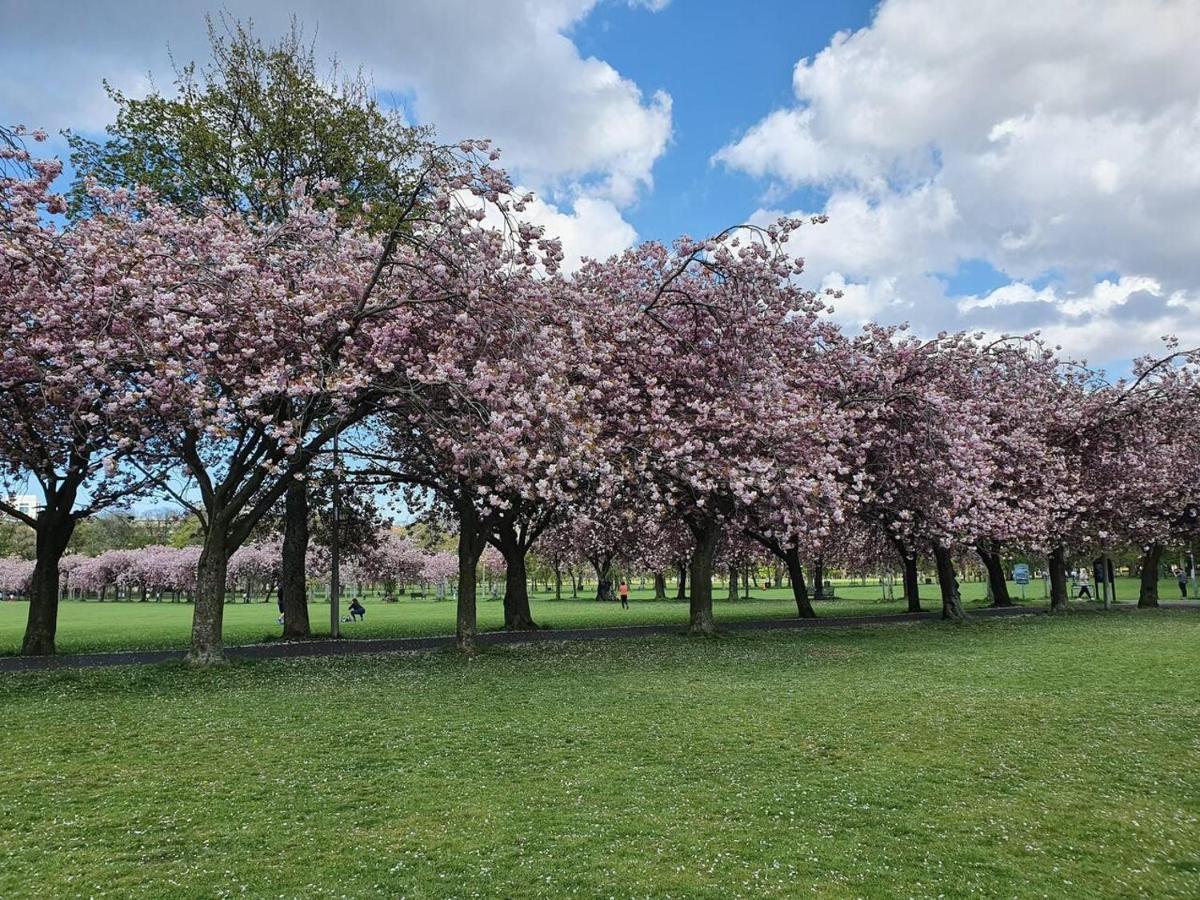 Lovely 2 Bedroom Flat In The Heart Of The City Edinburgh Luaran gambar